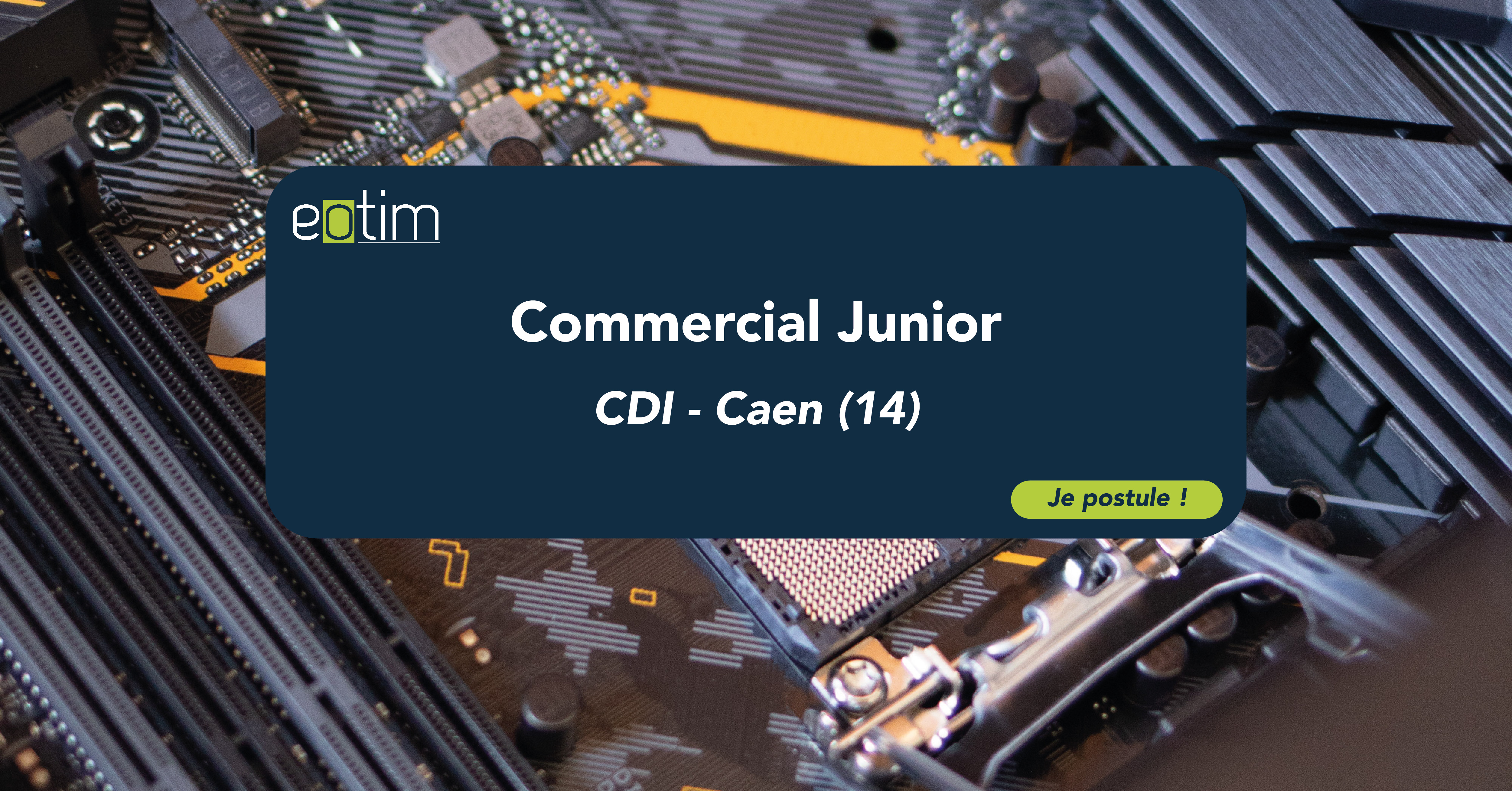 Commercial Junior - H/F