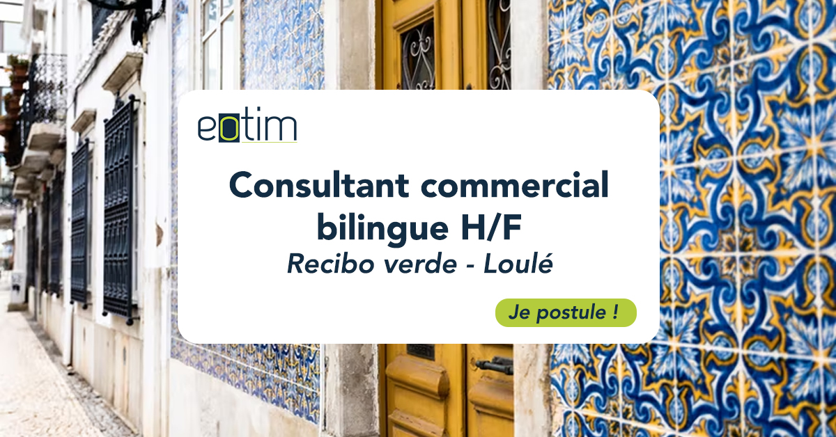 Consultant commercial lusophone H/F