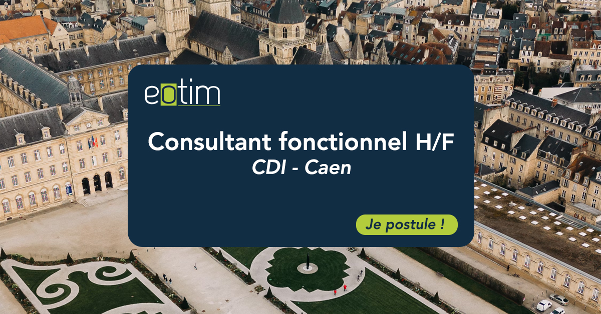 Consultant fonctionnel H/F