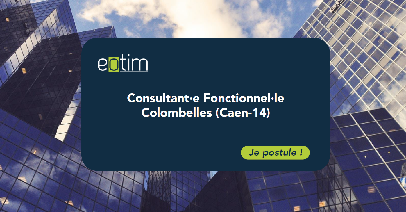 Consultant Fonctionnel - H/F