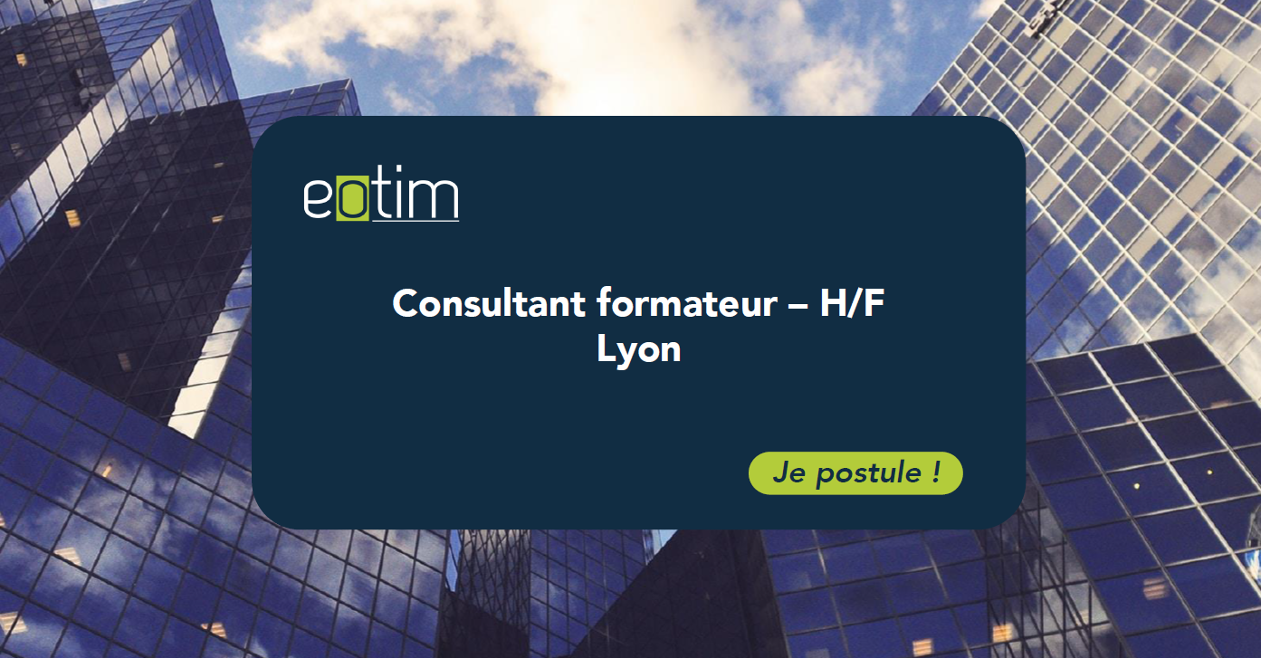 Consultant formateur - H/F