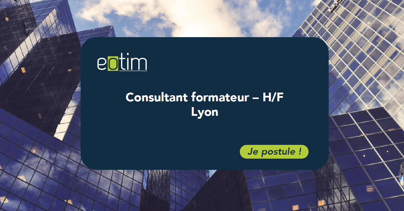 Consultant formateur H/F