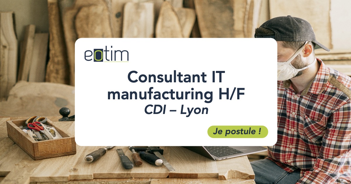 Consultant IT manufacturing H/F