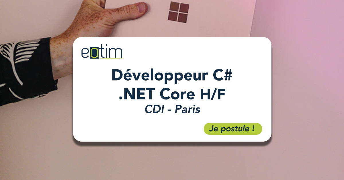Développeur C# .NET Core H/F