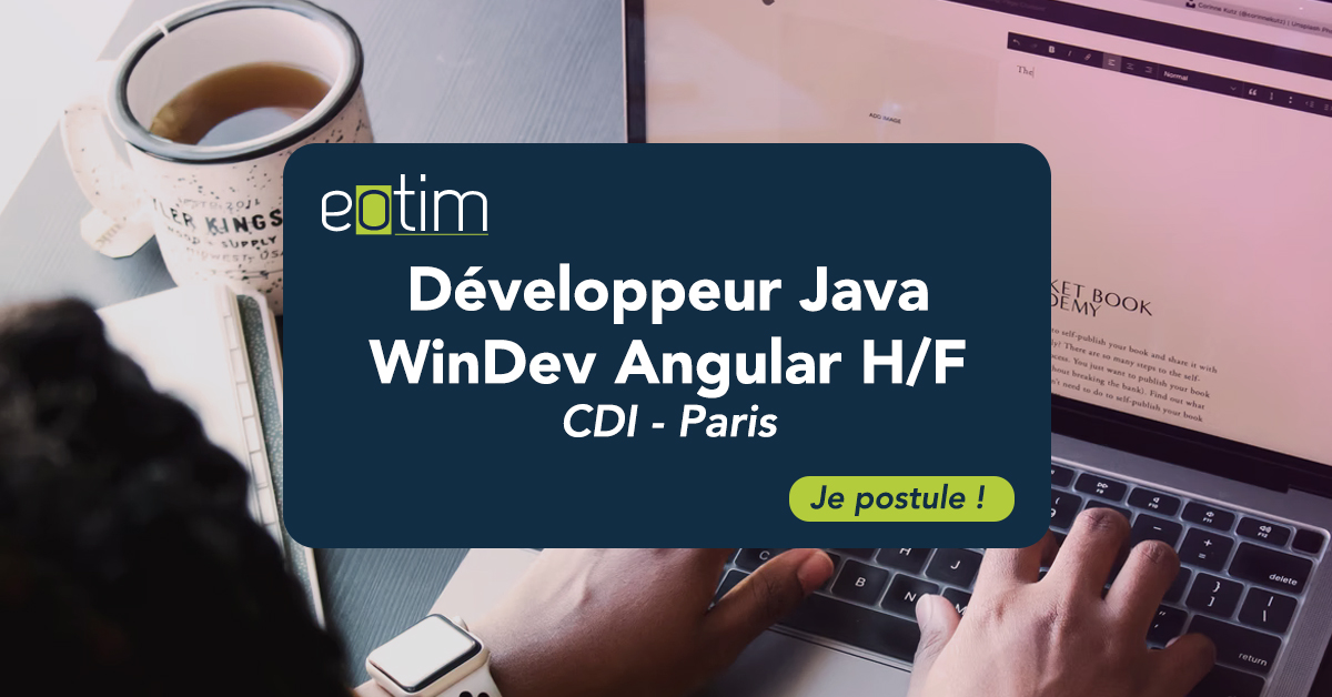 Développeur Java WinDev Angular H/F