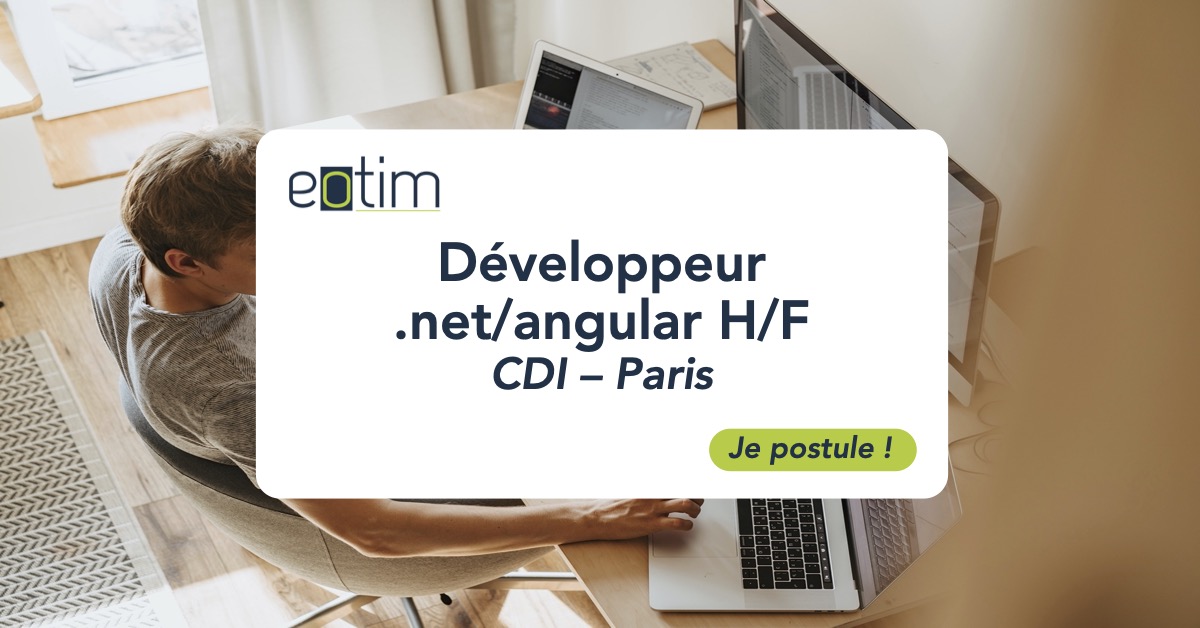 Développeur .net/angular H/F