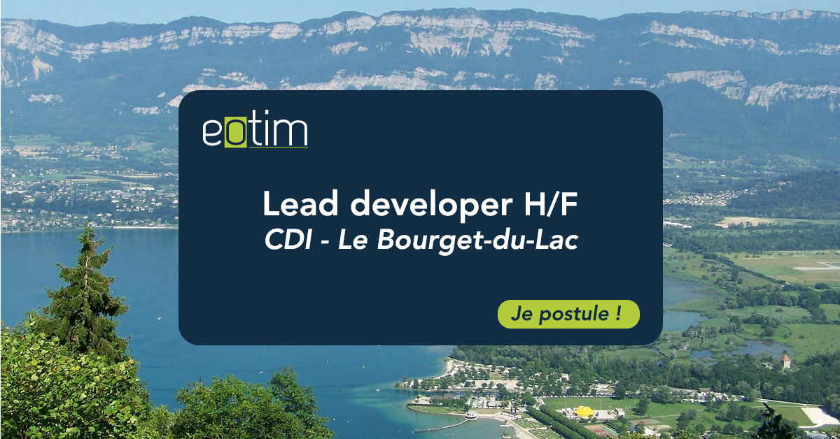Lead developer H/F