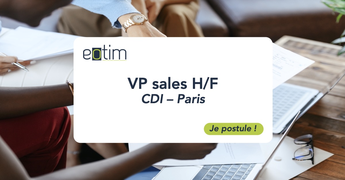 VP sales H/F