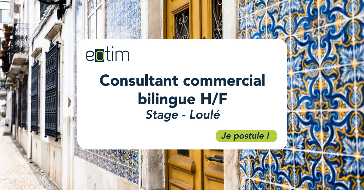 Stage consultant commercial lusophone H/F